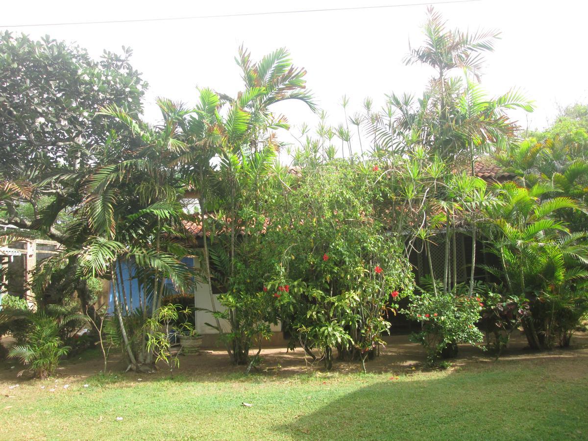 Cottage Garden Bungalows Moratuwa Exterior foto